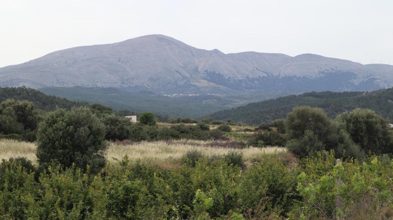 Echo Traditional House - Ηχώ Παραδοσιακό Σπίτι Embonas Exterior photo
